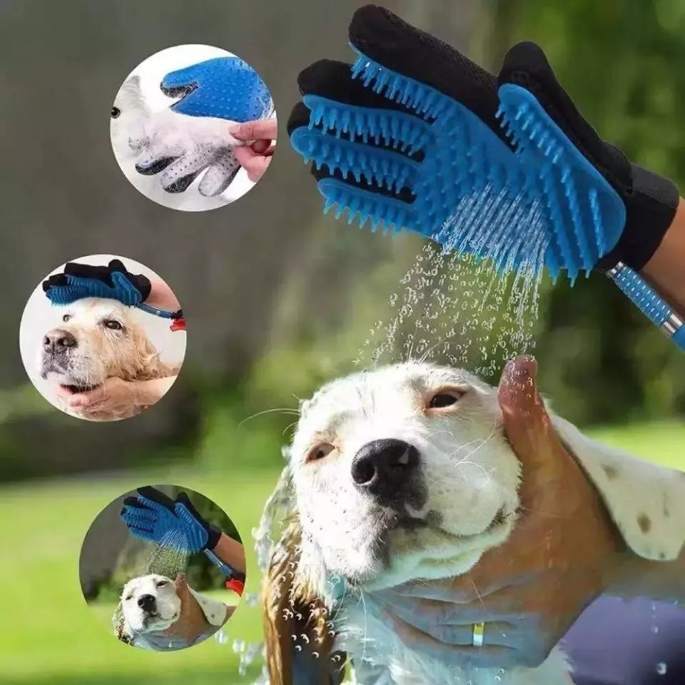 Guante Cepillo para amscota