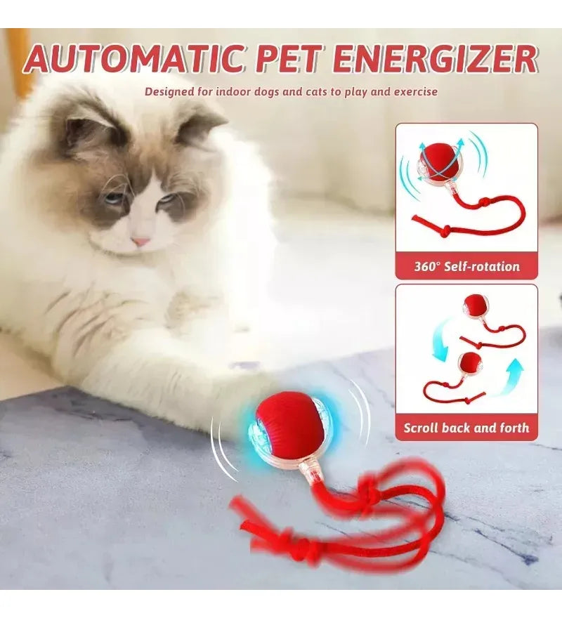 PELOTA GIRATORIA MASCOTA