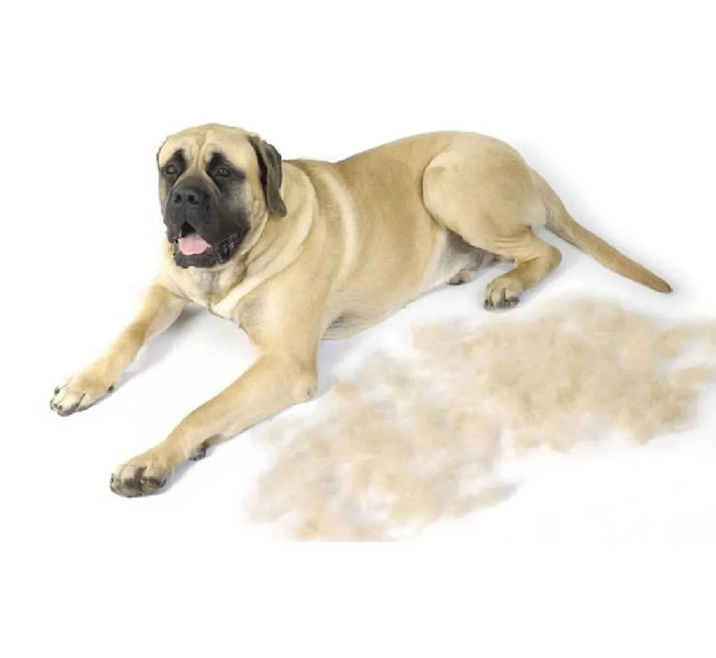 Cepillo Furminator Deslanador Quita Pelo