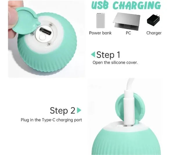 Bola Pelota Magica Gatos