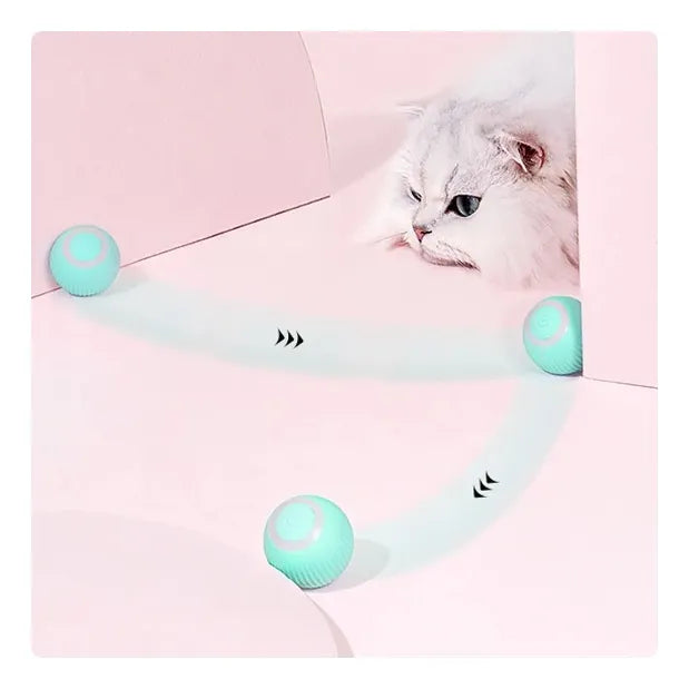 Bola Pelota Magica Gatos