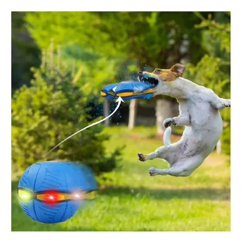 Pelota Balón Flexible Ball P3 Disco Jugu